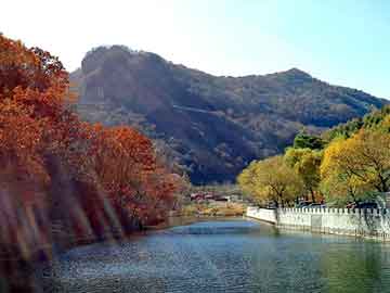 澳门二四六天天彩图库，站群模板